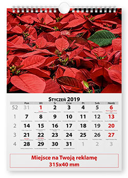 Kalendarium 3 - 13 planszowe na spirali - Kwiaty